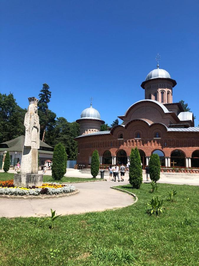 Pensiune Montana Curtea de Argeş Exterior foto