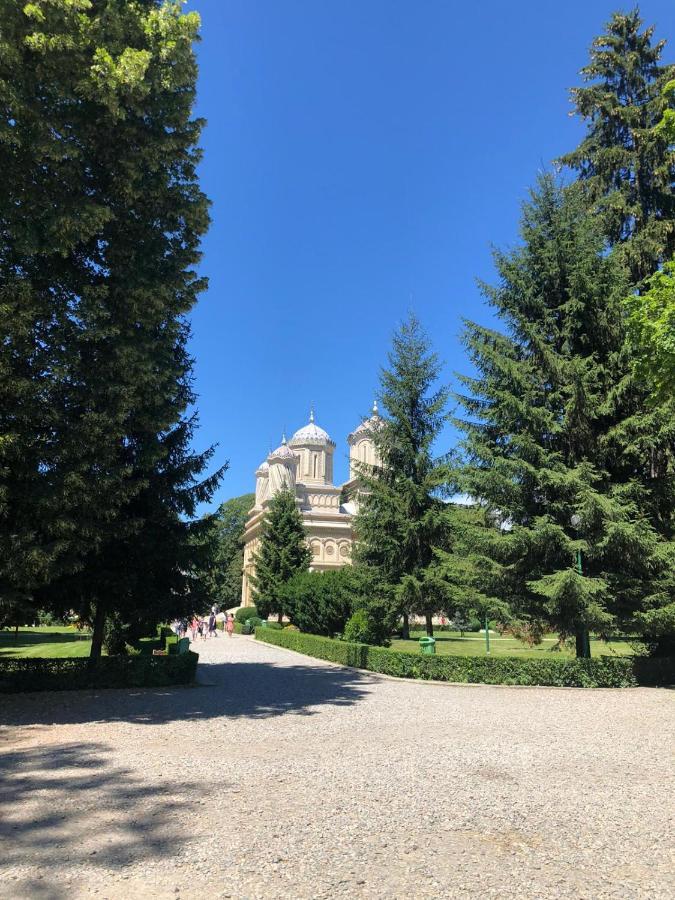 Pensiune Montana Curtea de Argeş Exterior foto